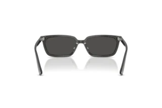 Rear view Jimmy Choo JC5050U (512287)