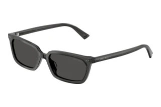 Front view Jimmy Choo JC5050U (512287)