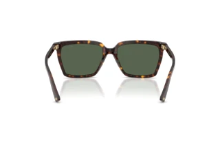 Rear view Jimmy Choo JC5051 (500271)