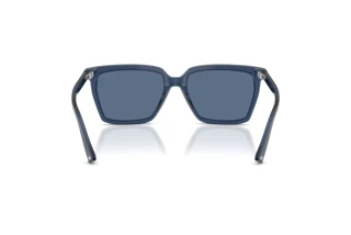 Rear view Jimmy Choo JC5051 (503580)
