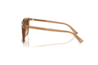 Side view Jimmy Choo JC5051 (507613)
