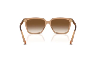 Rear view Jimmy Choo JC5051 (507613)