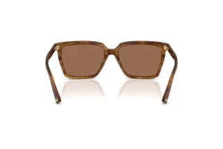 Rear view Jimmy Choo JC5051 (508573)