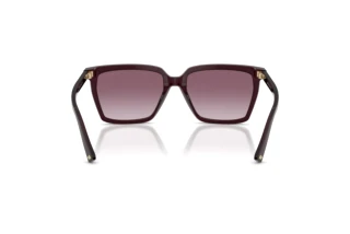 Rear view Jimmy Choo JC5051 (50866X)