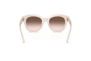 Rear view Jimmy Choo JC5053 (50253B)