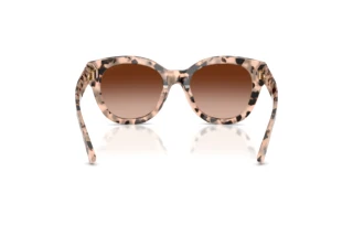 Rear view Jimmy Choo JC5053 (508013)