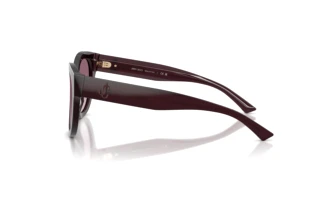 Side view Jimmy Choo JC5053 (50866X)