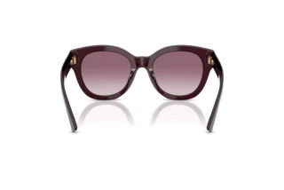Rear view Jimmy Choo JC5053 (50866X)