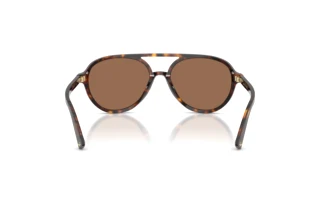 Rear view Jimmy Choo JC5055U (500273)