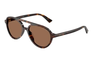 Front view Jimmy Choo JC5055U (500273)