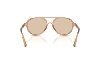 Rear view Jimmy Choo JC5055U (507693)