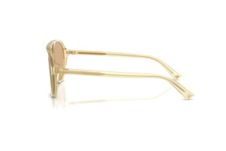 Side view Jimmy Choo JC5055U (5083/8)