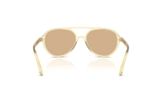 Rear view Jimmy Choo JC5055U (5083/8)