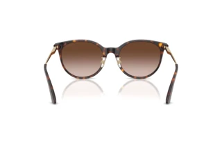 Rear view Jimmy Choo JC5056JD (500213)