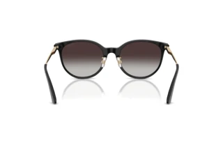 Rear view Jimmy Choo JC5056JD (50178G)