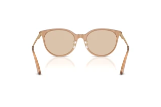 Rear view Jimmy Choo JC5056JD (507693)