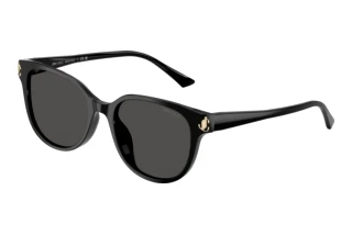 Front view Jimmy Choo JC5057D (500087)