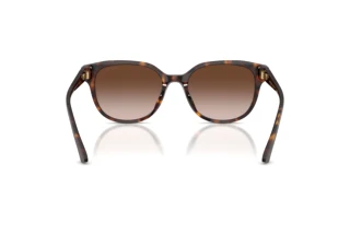 Rear view Jimmy Choo JC5057D (500213)