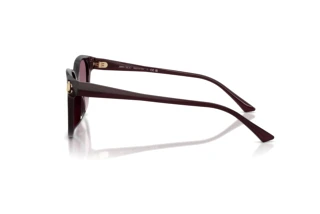 Side view Jimmy Choo JC5057D (50866X)
