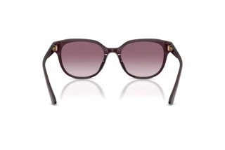 Rear view Jimmy Choo JC5057D (50866X)