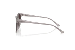 Side view Jimmy Choo JC5057D (50968G)