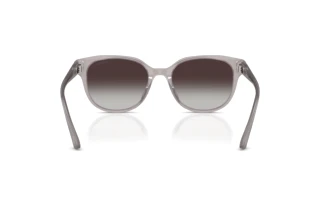 Rear view Jimmy Choo JC5057D (50968G)