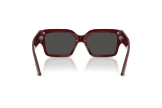Rear view Jimmy Choo JC5058JU (505787)