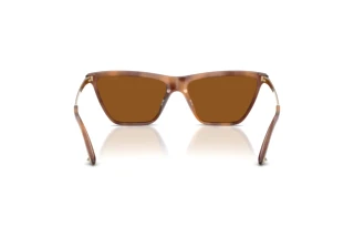 Rear view Jimmy Choo JC5059U (509673)