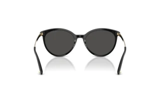 Rear view Jimmy Choo JC5060 (500087)