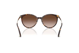 Rear view Jimmy Choo JC5060 (500213)