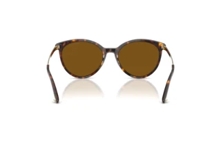 Rear view Jimmy Choo JC5060 (500283)