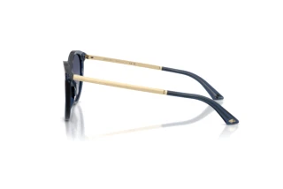 Side view Jimmy Choo JC5060 (50354L)