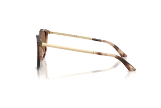 Side view Jimmy Choo JC5060 (509773)
