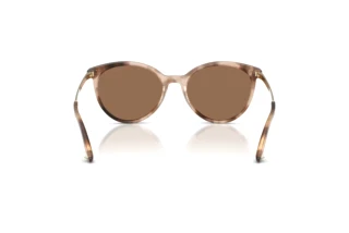 Rear view Jimmy Choo JC5060 (509773)