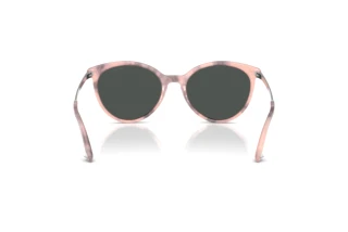 Rear view Jimmy Choo JC5060 (509887)
