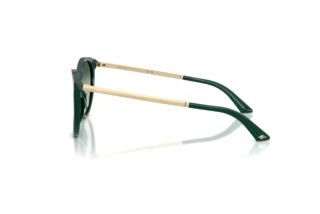 Side view Jimmy Choo JC5060 (510019)