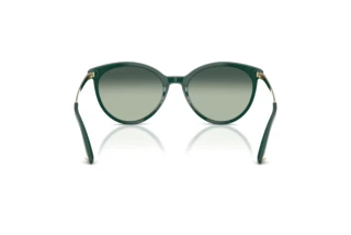 Rear view Jimmy Choo JC5060 (510019)