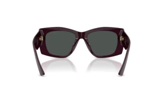Rear view Jimmy Choo JC5061U (507587)