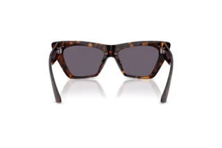 Rear view Jimmy Choo JC5062U (50021A)