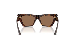 Rear view Jimmy Choo JC5062U (500273)