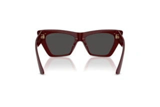 Rear view Jimmy Choo JC5062U (505787)