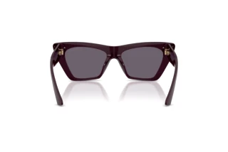 Rear view Jimmy Choo JC5062U (50751A)