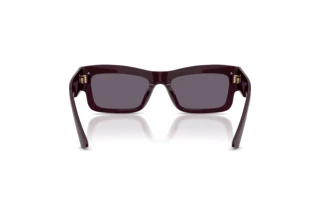Rear view Jimmy Choo JC5063U (50751A)