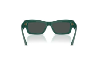 Rear view Jimmy Choo JC5063U (510187)