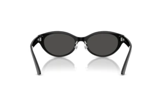 Rear view Jimmy Choo JC5064D (500087)