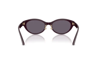 Rear view Jimmy Choo JC5064D (50751A)