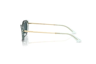 Side view Jimmy Choo JC5065U (510487)