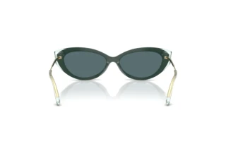 Rear view Jimmy Choo JC5065U (510487)