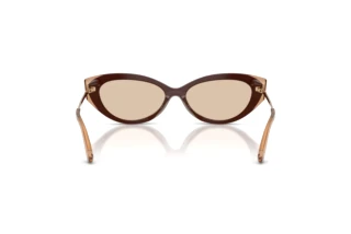 Rear view Jimmy Choo JC5065U (510593)