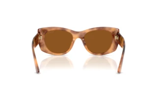 Rear view Jimmy Choo JC5066U (509673)